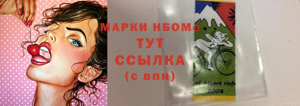 стафф Кодинск
