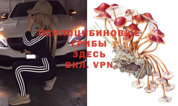 кокс Козловка