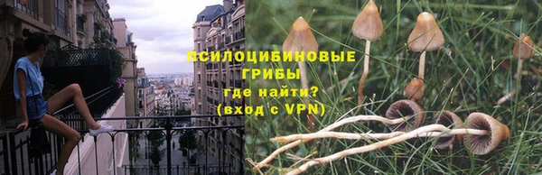 кокс Козловка