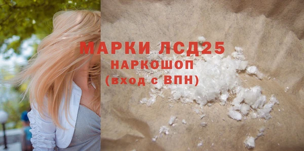 стафф Кодинск