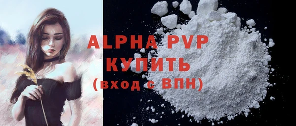 стафф Кодинск