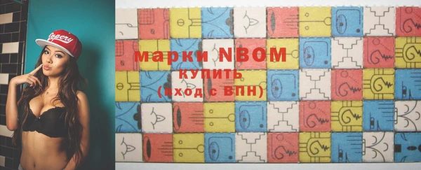 стафф Кодинск