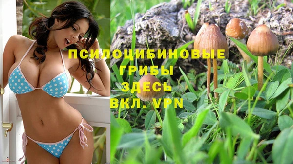 кокс Козловка